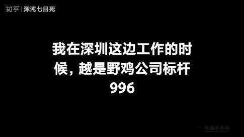 996工作制下公司新手全面攻略，掌握高效玩法与技巧分享指南